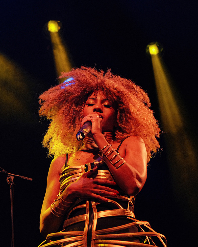 Shedea Dona